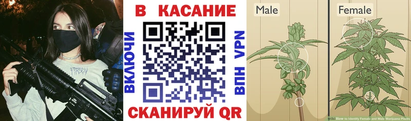 Наркошоп купить ГАШИШ  КОКАИН  МЕФ  Alpha PVP  НБОМе  Каннабис  Малоярославец