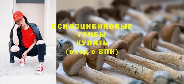 спиды Аркадак