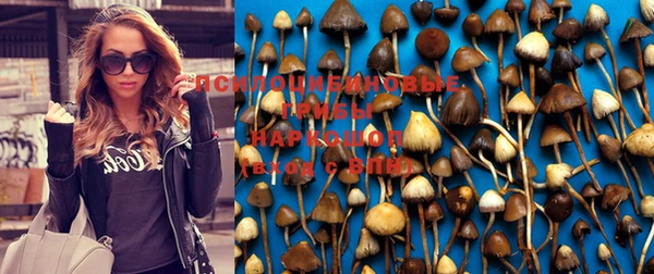 спиды Аркадак