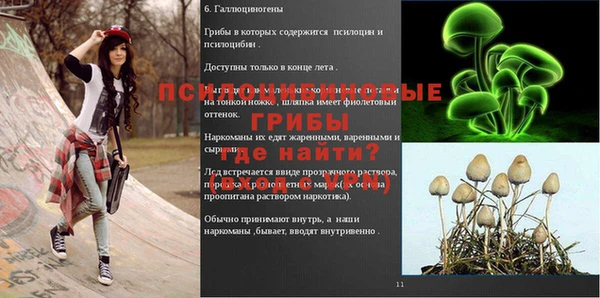 крисы Арсеньев