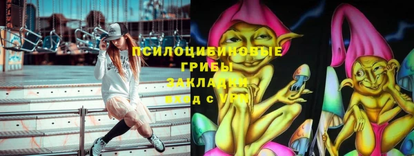крисы Арсеньев