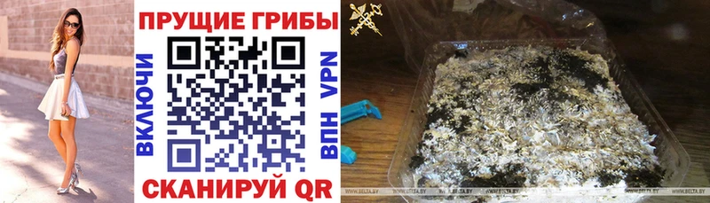 Галлюциногенные грибы Magic Shrooms  Купить закладки  Малоярославец 